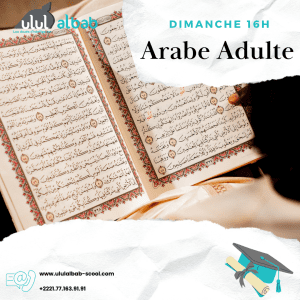 FEV COURS ARABE ADULTE