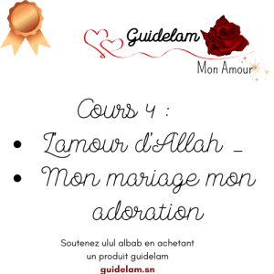 BRONZE COURS 4: L'AMOUR D'ALLAH swt