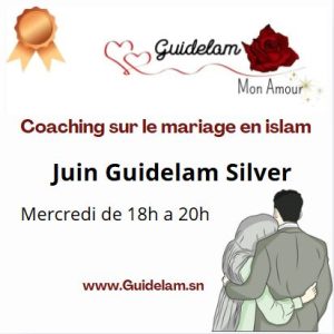 JUIN PARCOURS GUIDELAM SILVER