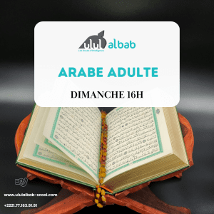 Août COURS ARABE ADULTE