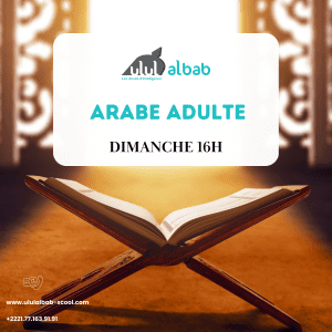 OCT  COURS ARABE ADULTE